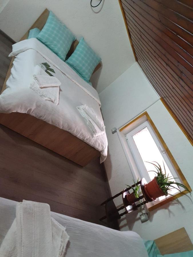 Casa Radu Hotel Tulcea Eksteriør billede
