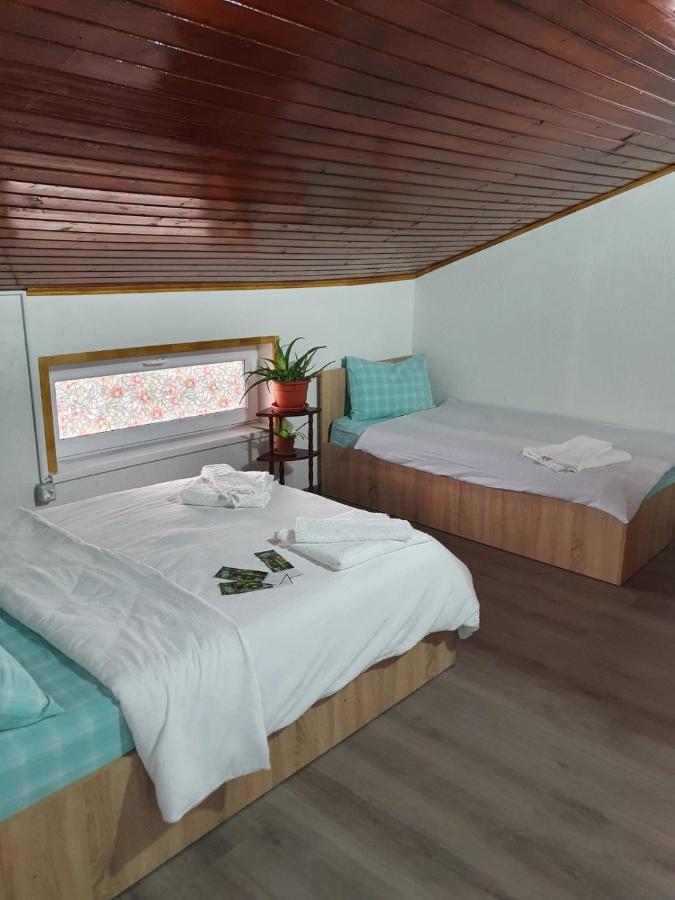 Casa Radu Hotel Tulcea Eksteriør billede